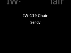 Das Leder gepolsterte hölzerne Speisen sitzt keiner Armlehne mit Ash Wood Black Color vor